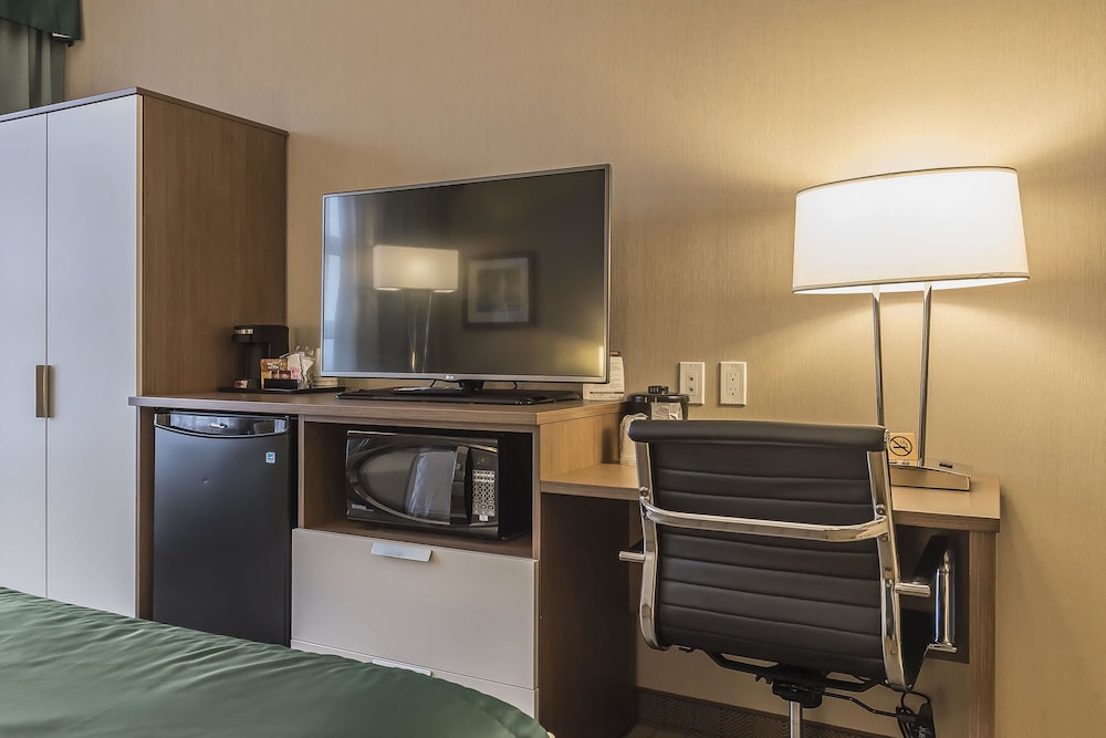 Standard Room, 1 Queen Bed, Accessible photo 2