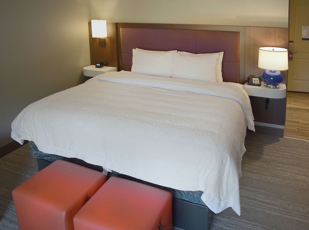Classic Room, 1 King Bed, Accessible (Mobility & Hearing, Roll-in Shower) photo 3