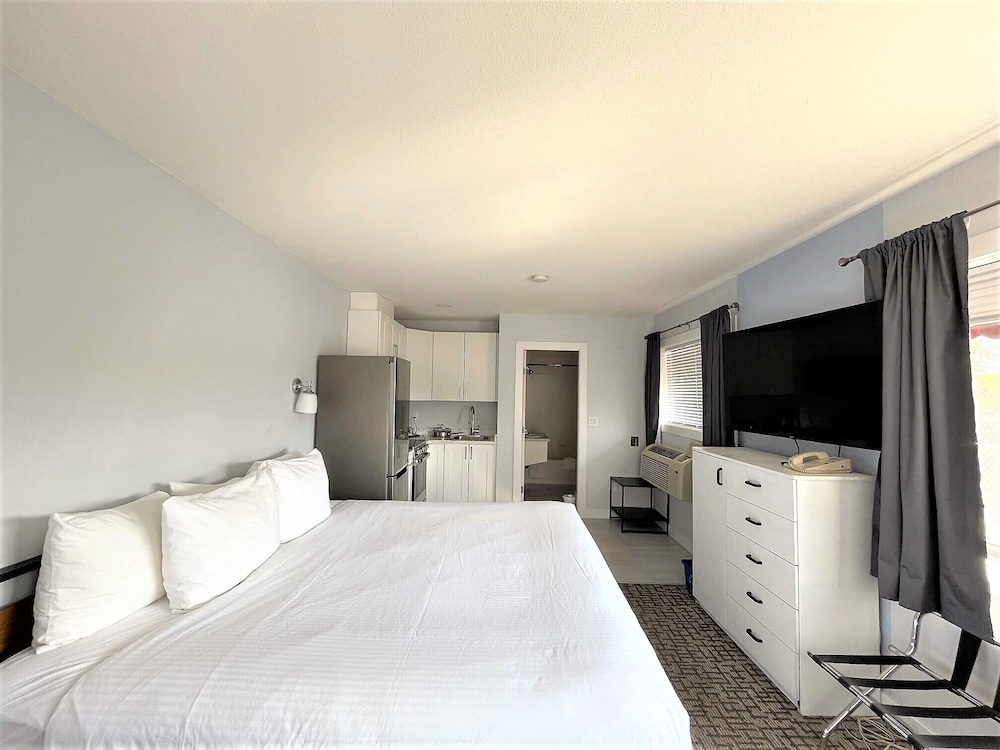 Comfort Room, 1 King Bed, Non Smoking (Efficiency) - Photo 4