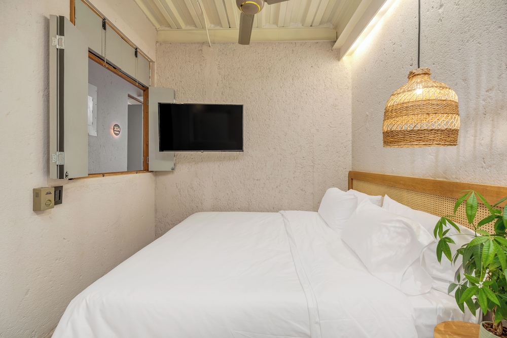 Basic Studio Suite (205)
