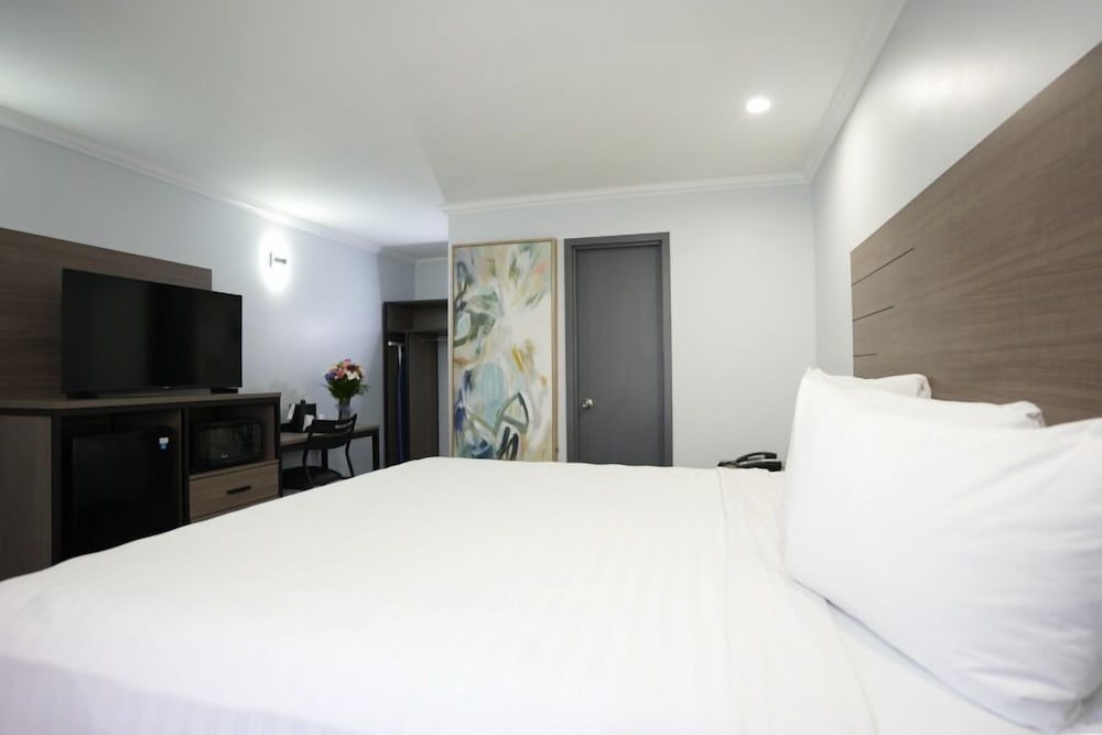 Elite Single Room