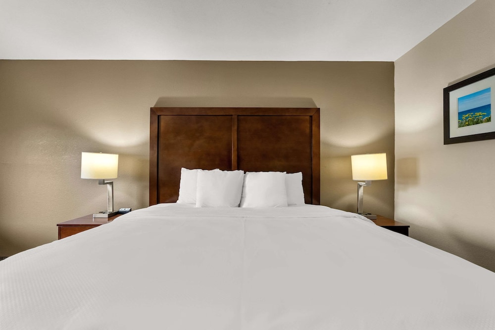 Standard Room, 1 King Bed, Non Smoking - Photo 3