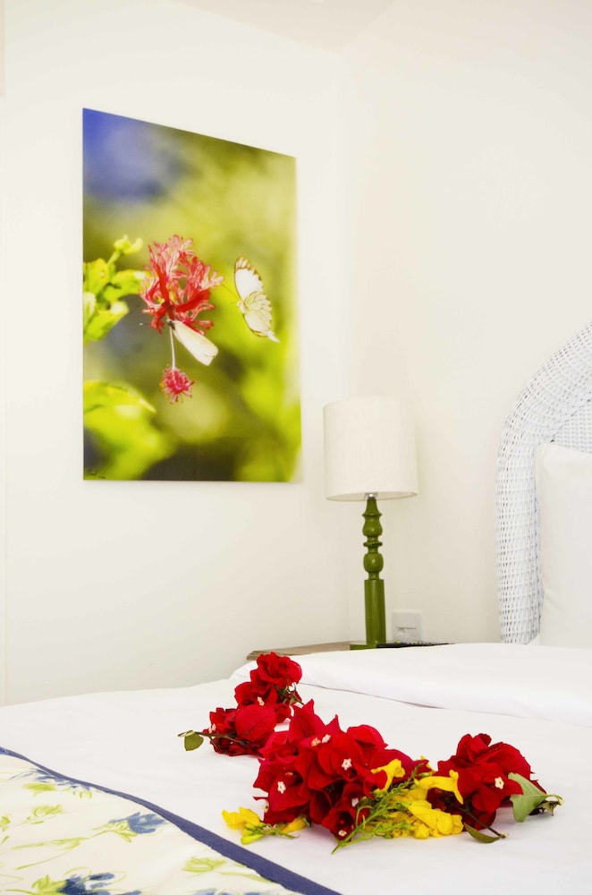 Suite (Solar) photo 3