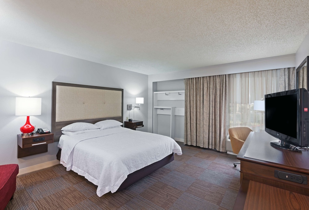 Room, Accessible, Non Smoking photo 3