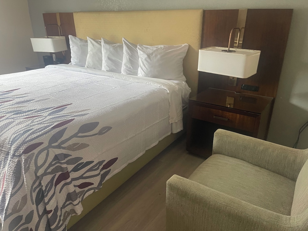 Deluxe Room, 1 King Bed, Non Smoking - Photo 6