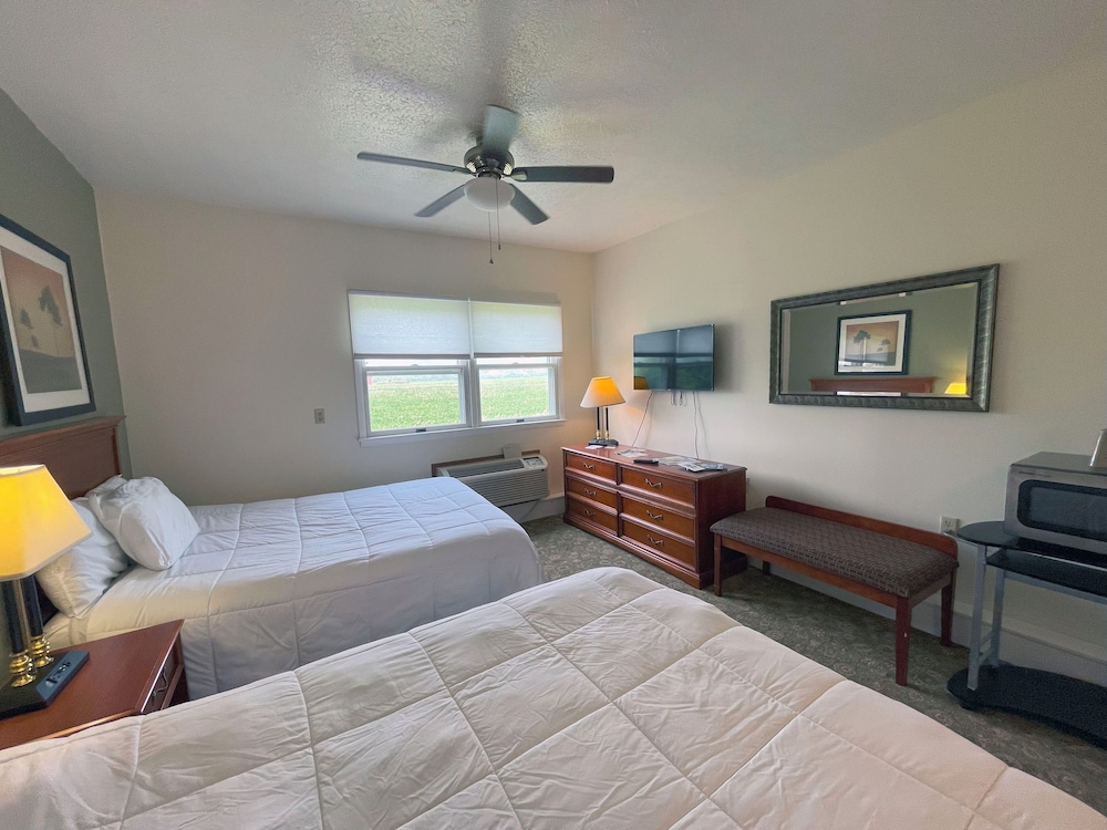 1 Bedroom Suite photo 3