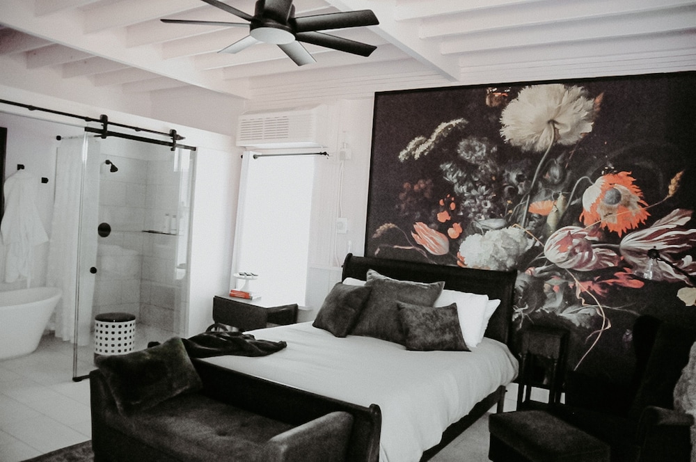 Elite Studio, 1 Queen Bed photo 1