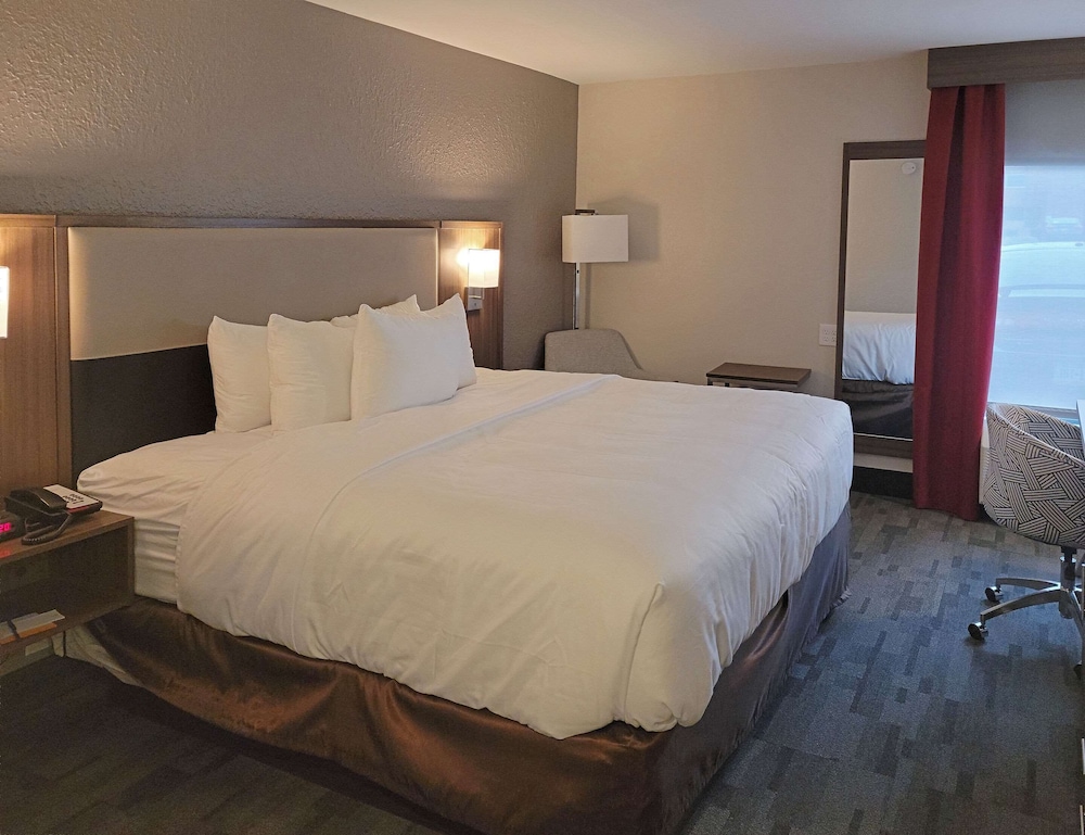 Standard Room, 1 King Bed, Non Smoking - Photo 4