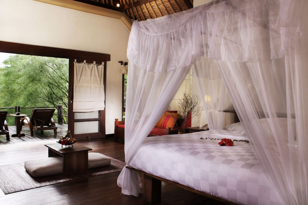 Mangrove Suite - Photo 3