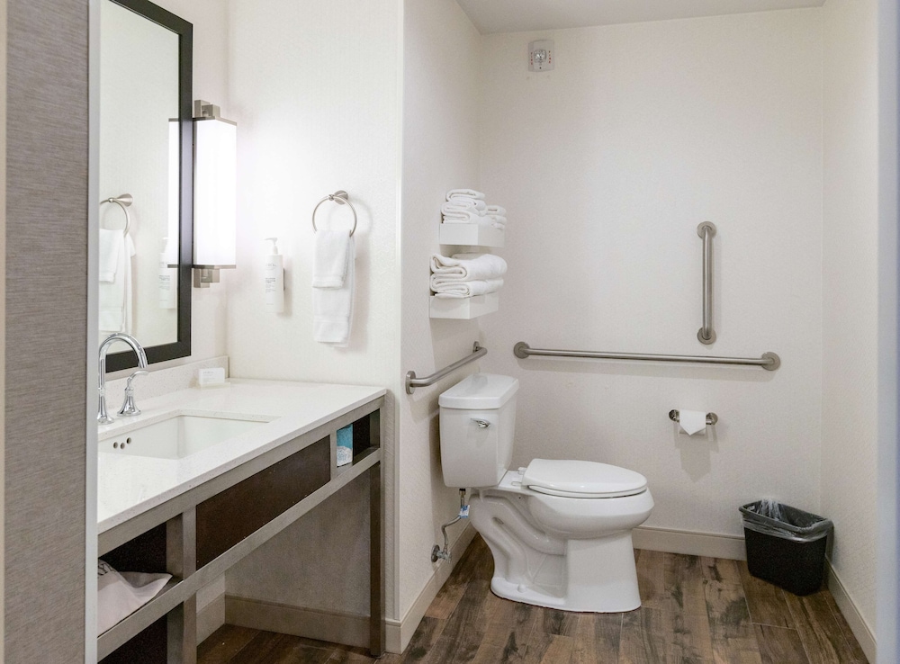 Room, 1 King Bed, Accessible, Non Smoking (Hearing, Roll-In Shower)