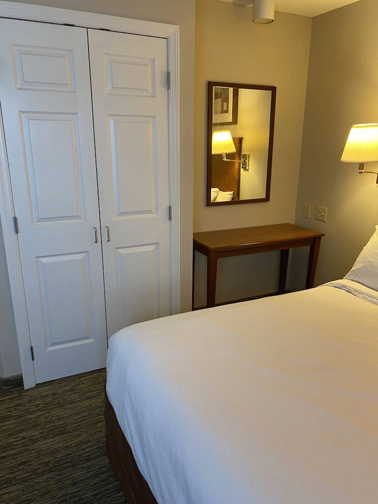 Suite, 1 Bedroom - Photo 4