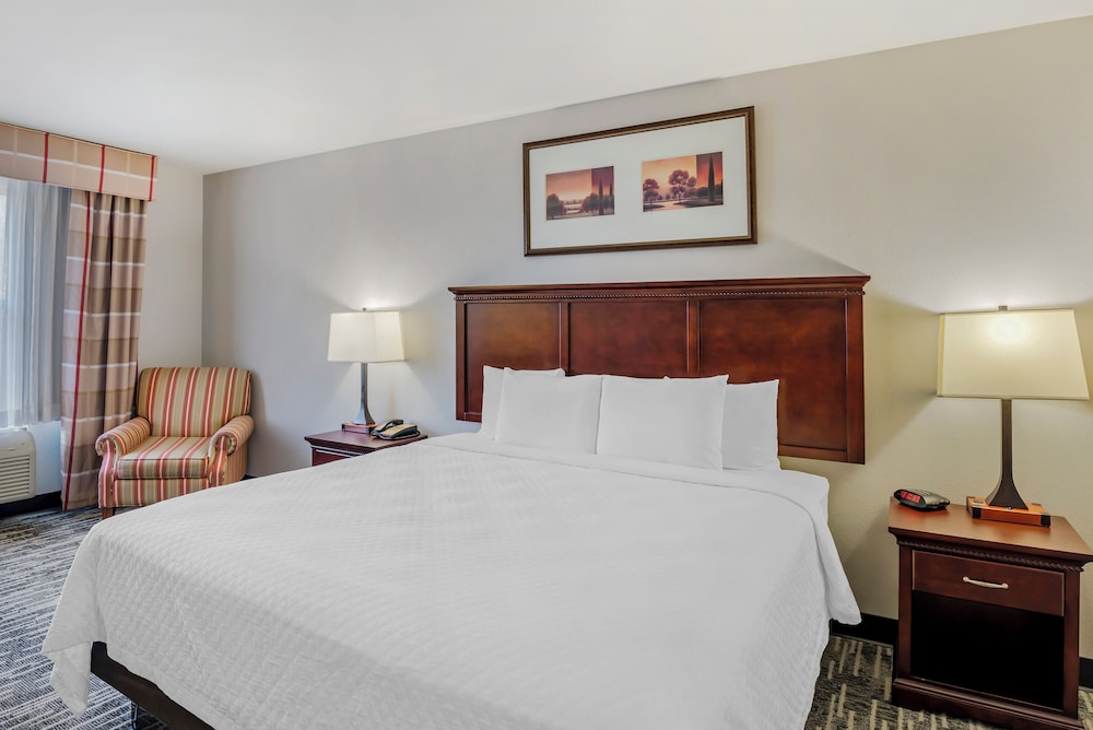 Deluxe Suite, 1 Bedroom, Non Smoking (1 King Bed) photo 2