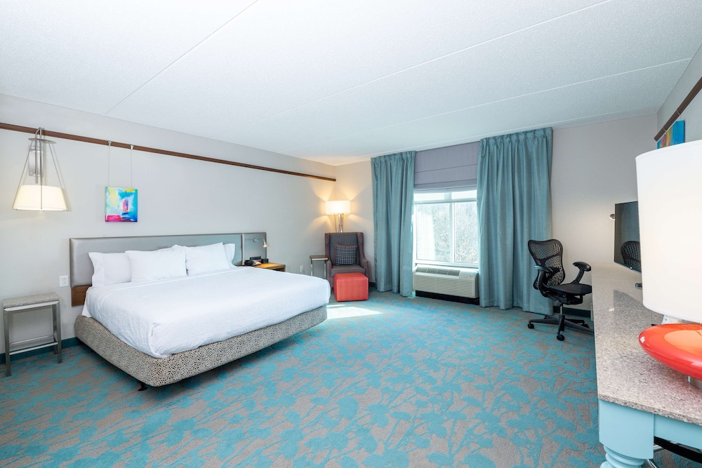 Room, 1 King Bed, Accessible, Non Smoking (Roll-in Shower) photo 2