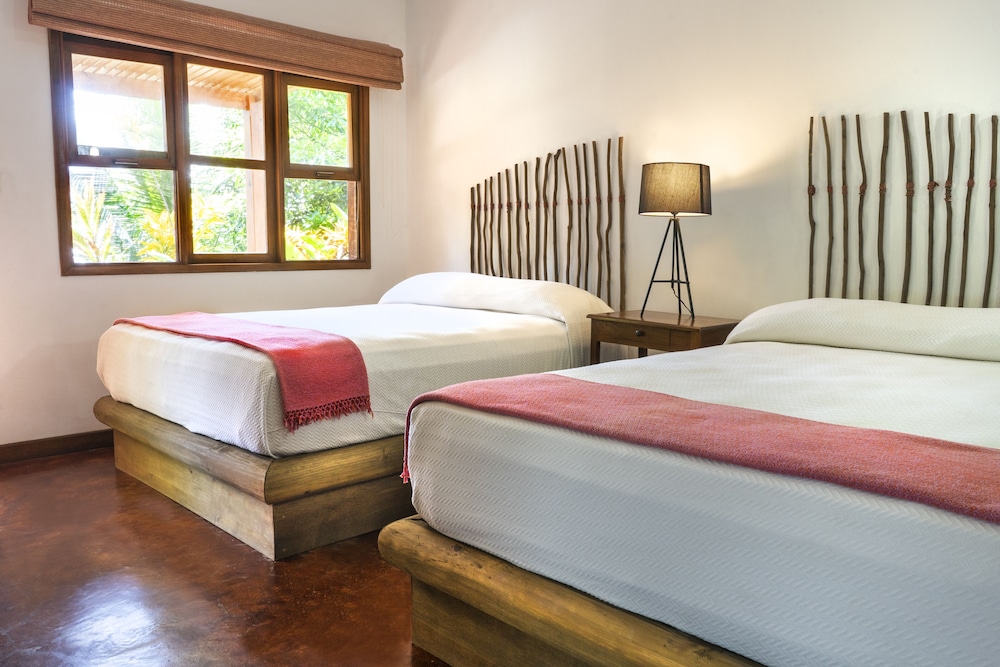 Premium Room, 2 Double Beds