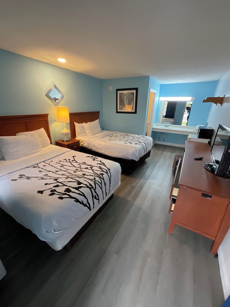 Studio, 2 Queen Beds, Non Smoking photo 1