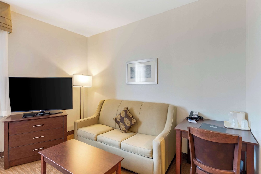 Suite, 1 King Bed with Sofa bed, Non Smoking (Efficiency, 2 Person Sofa bed) - Photo 3