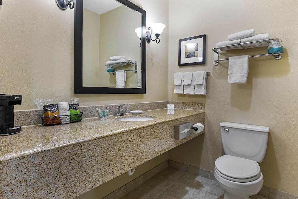 Suite, 1 King Bed, Non Smoking, Refrigerator & Microwave (with Sofabed)