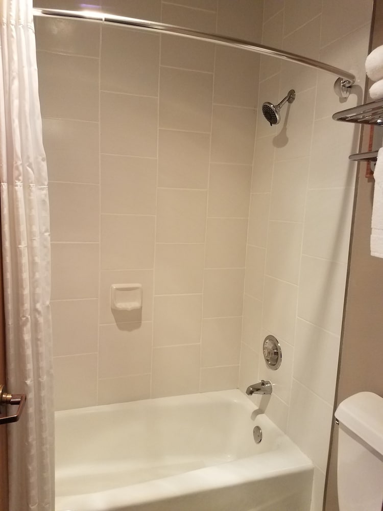 Standard Room, 1 King Bed, Non Smoking, Microwave - Photo 12