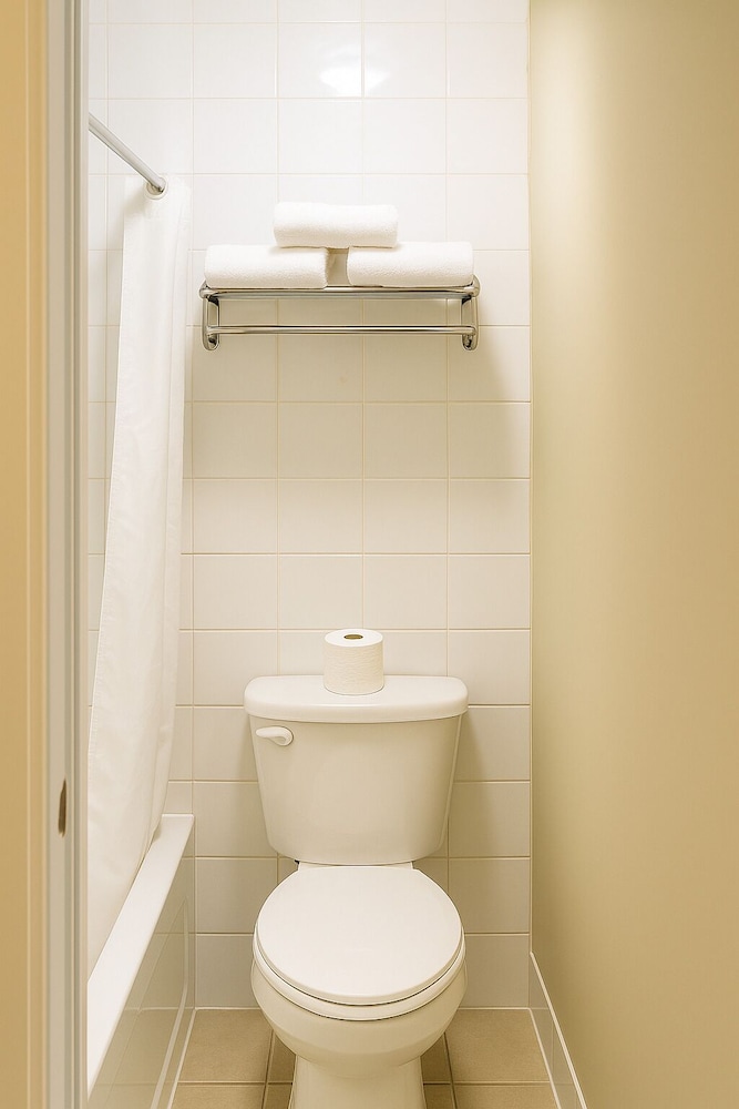 Comfort Single Room