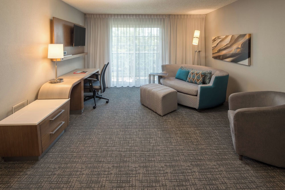 Suite, 1 King Bed with Sofa bed