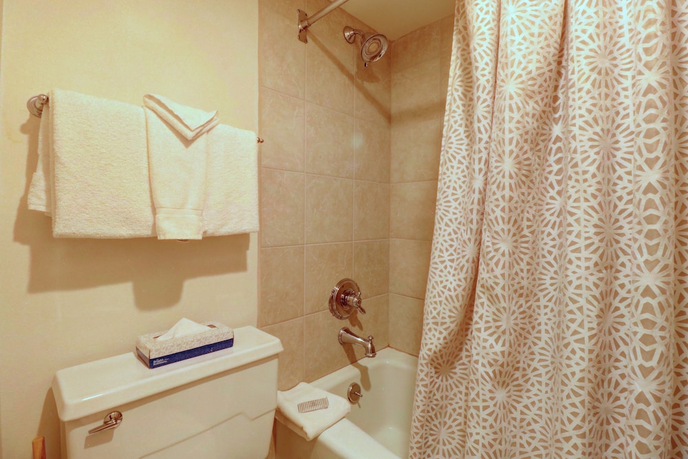 Room, 1 Bedroom photo 3