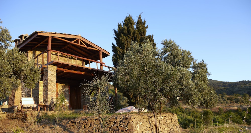 Vineyard House,Vineyard View photo 1