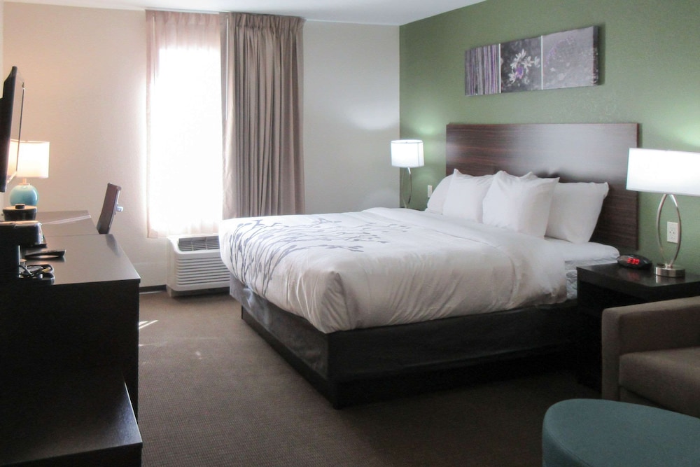 Suite, 1 King Bed, Accessible, Non Smoking - Photo 2