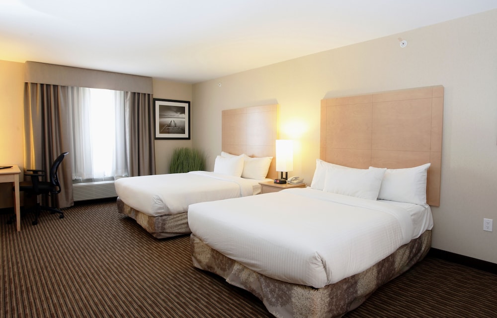 Traditional Studio Suite, 2 Queen Beds, Kitchen photo 1