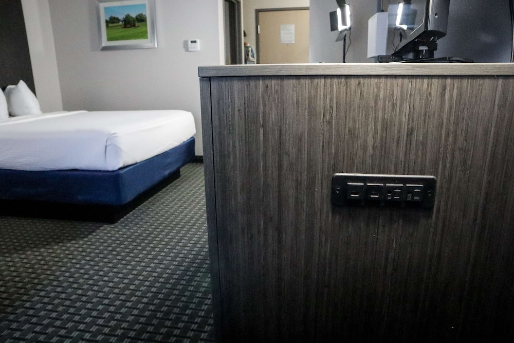Standard Room, 1 King Bed, Non Smoking, Refrigerator & Microwave (Larger Room;with Sofabed) - Photo 6
