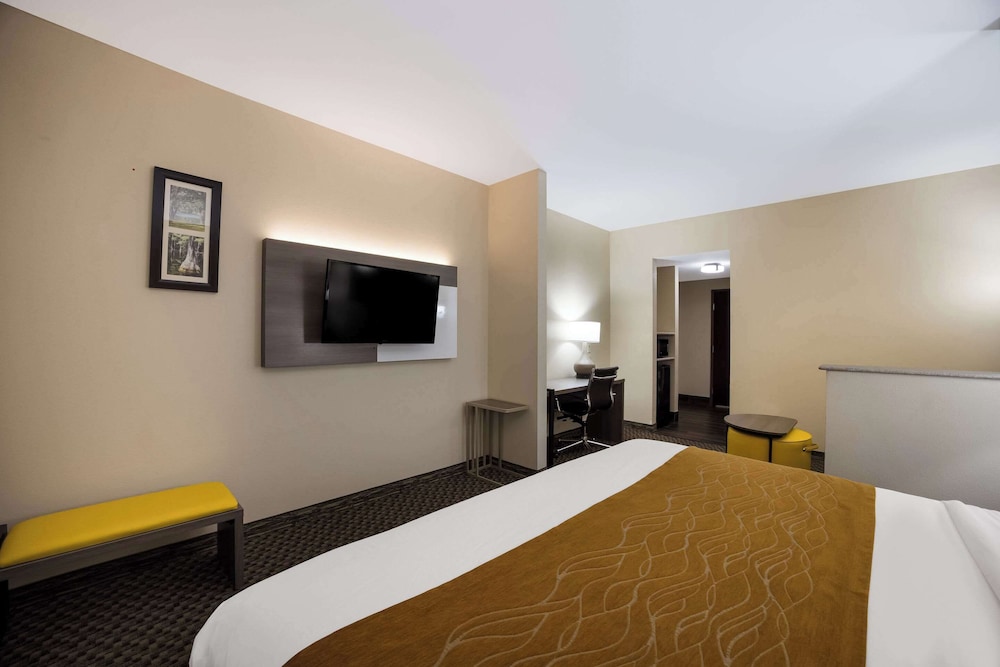 Suite, 1 King Bed, Non Smoking photo 3