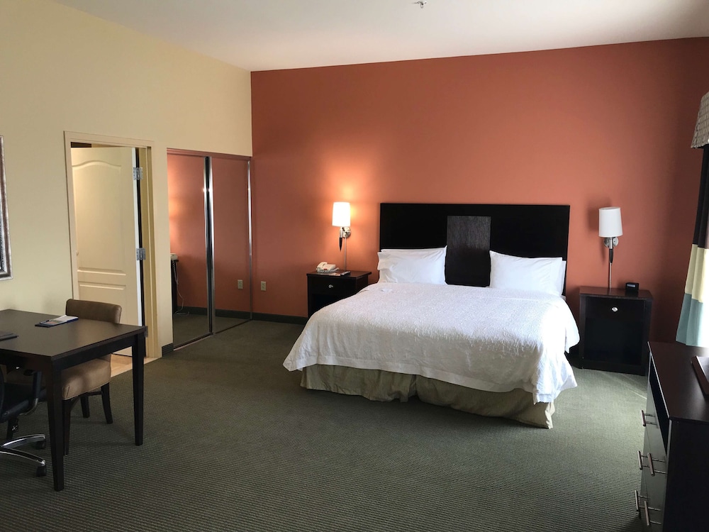 Room, 1 King Bed With Sofa Bed, Accessible, Non Smoking (Roll In Shower)