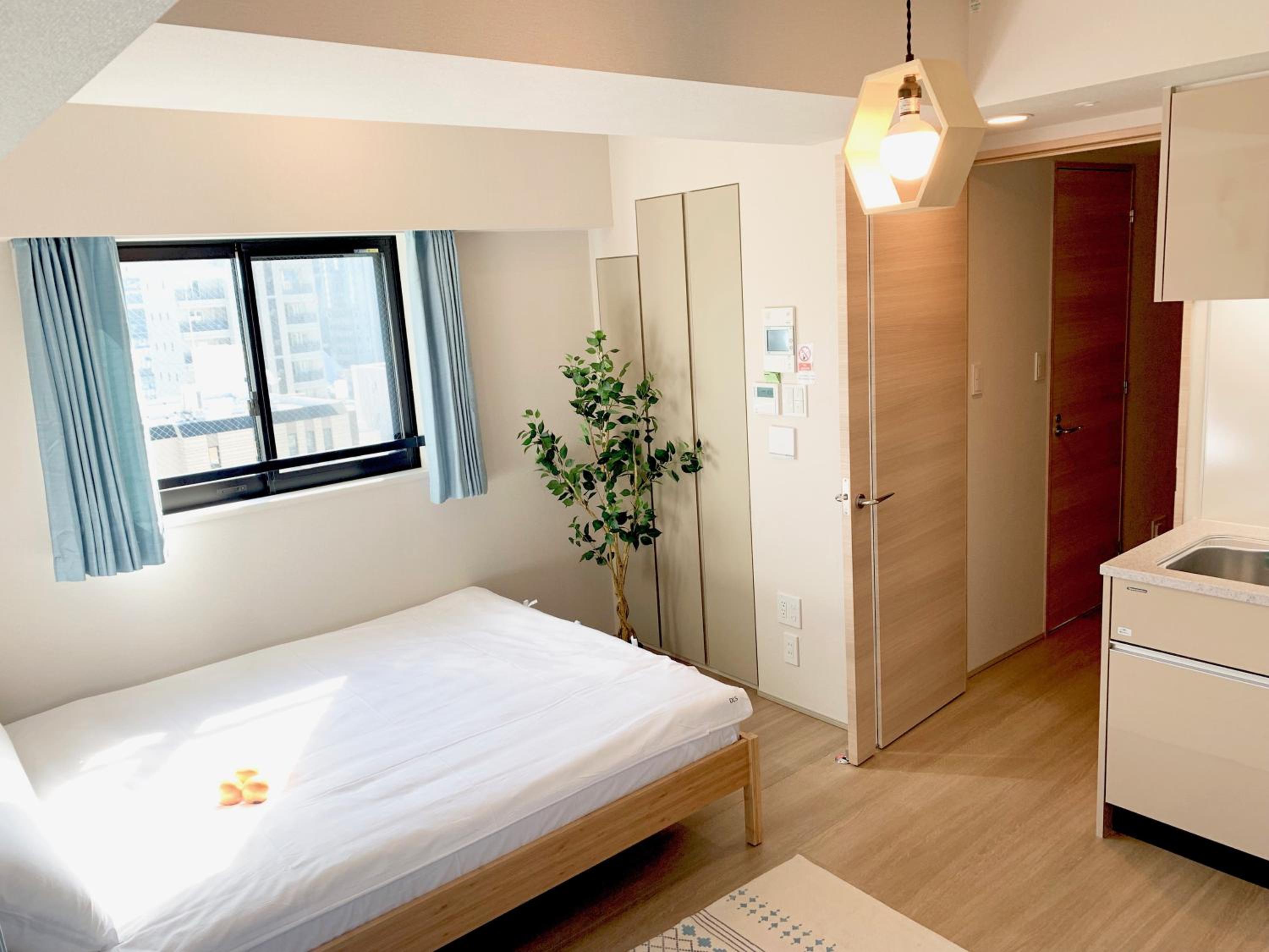 One-Room Apartment with Kitchen photo 2