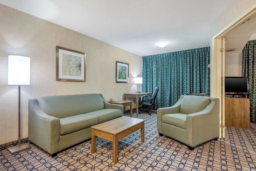 Suite, 1 King Bed With Sofa Bed, Non Smoking (Efficiency, Upgrade) - Photo 5