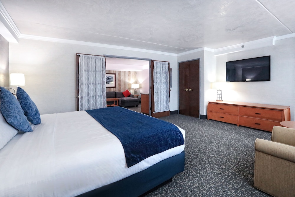 Suite - Photo 3
