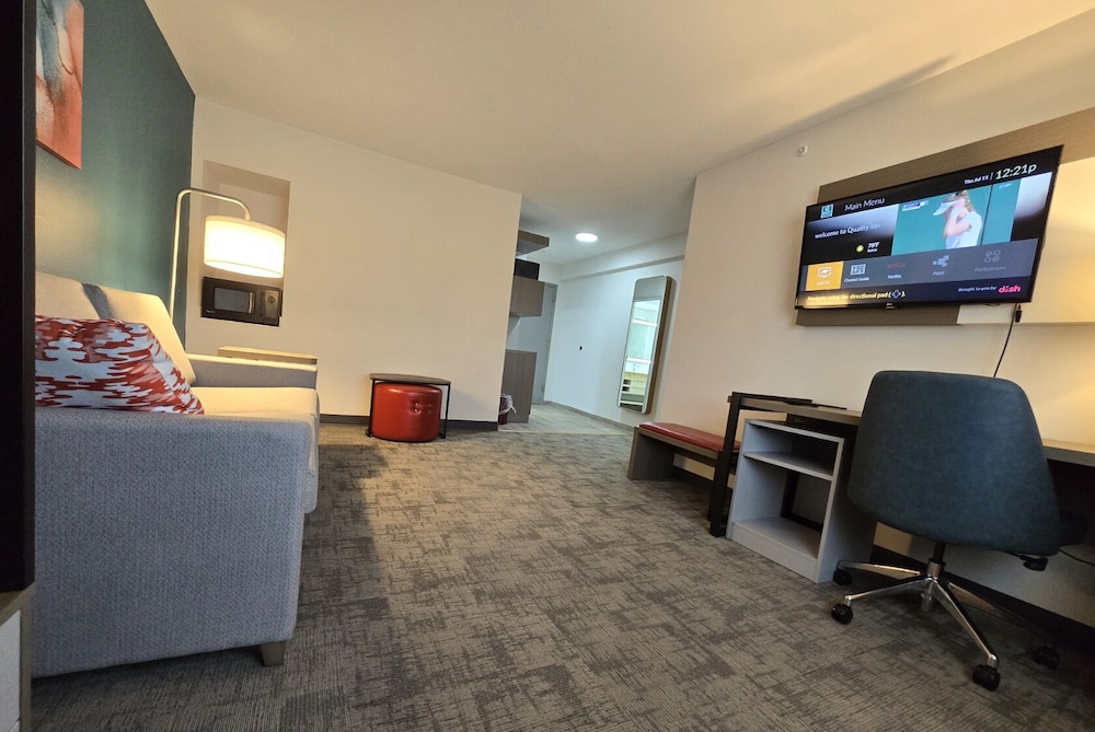 Suite, 1 King Bed with Sofa bed, Non Smoking - Photo 1