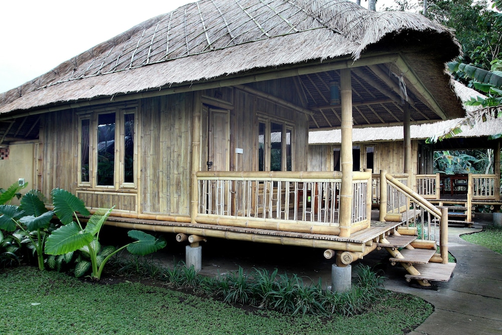 Bamboo House photo 3