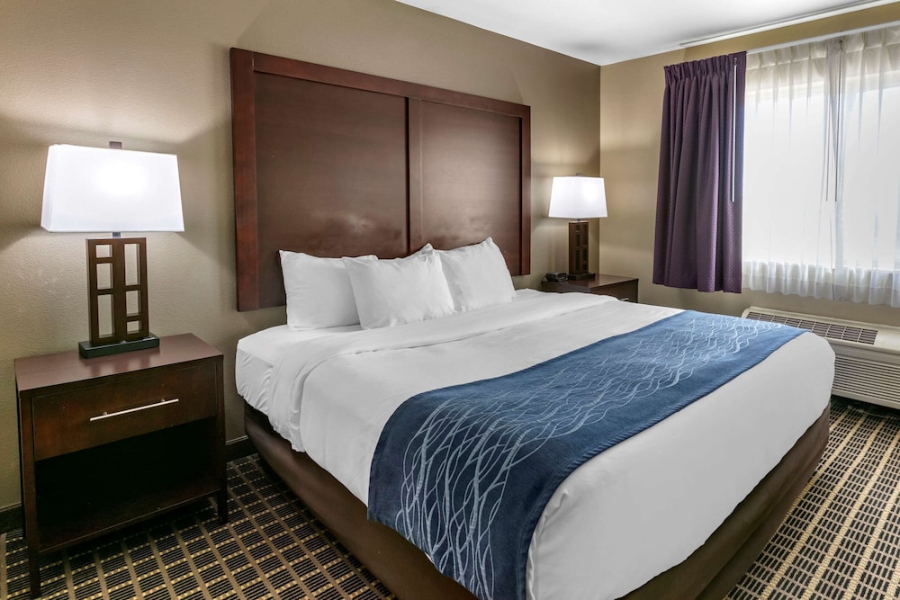 Business Suite, 1 King Bed with Sofa bed, Refrigerator & Microwave - Photo 2