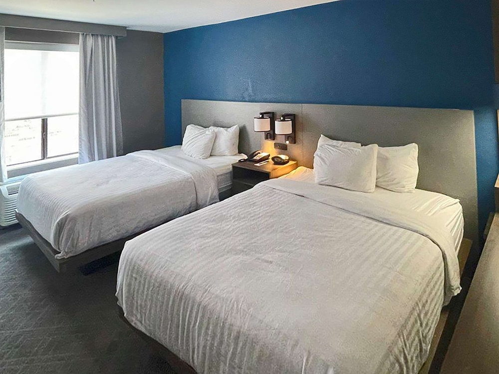 Suite, Multiple Beds, Non Smoking - Photo 1