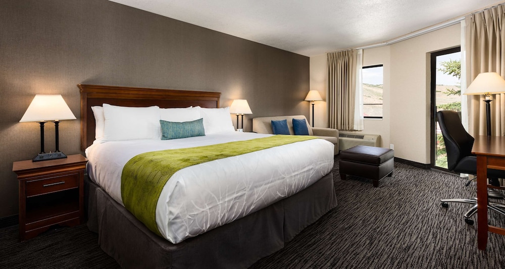 Standard Room, 1 King Bed, Microwave (with Sofabed) - Photo 1