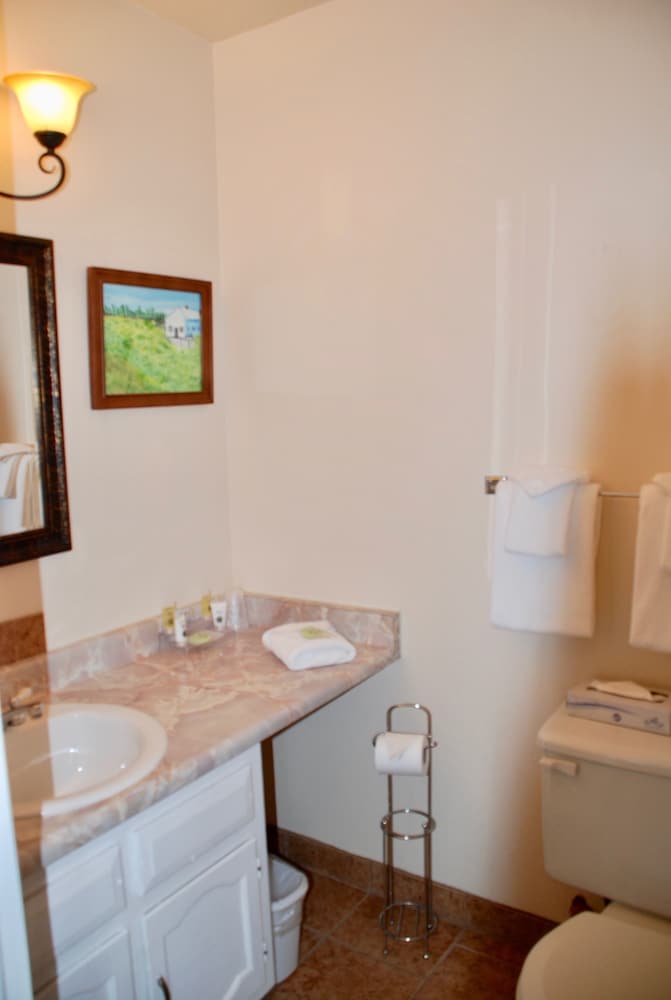 Standard Room, 1 Queen Bed, Refrigerator & Microwave (Pet Friendly) photo 3
