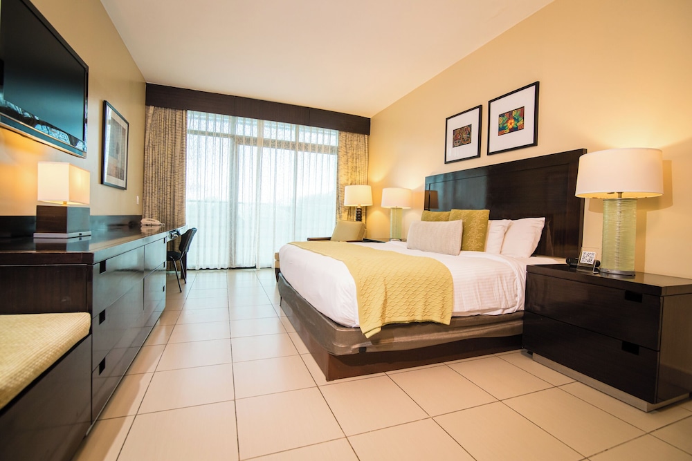 Deluxe King Room - Photo 10