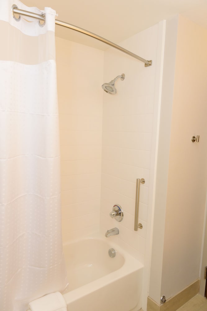 Suite, 1 King Bed, Accessible (Mobility, Transfer Shower)