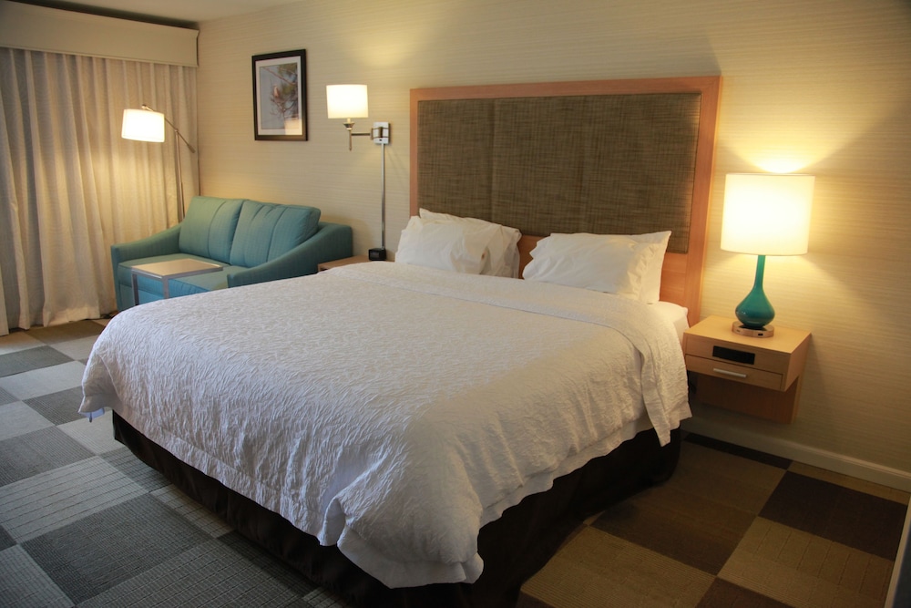 Room, 1 King Bed, Non Smoking, Refrigerator & Microwave (Large Room) - Photo 2