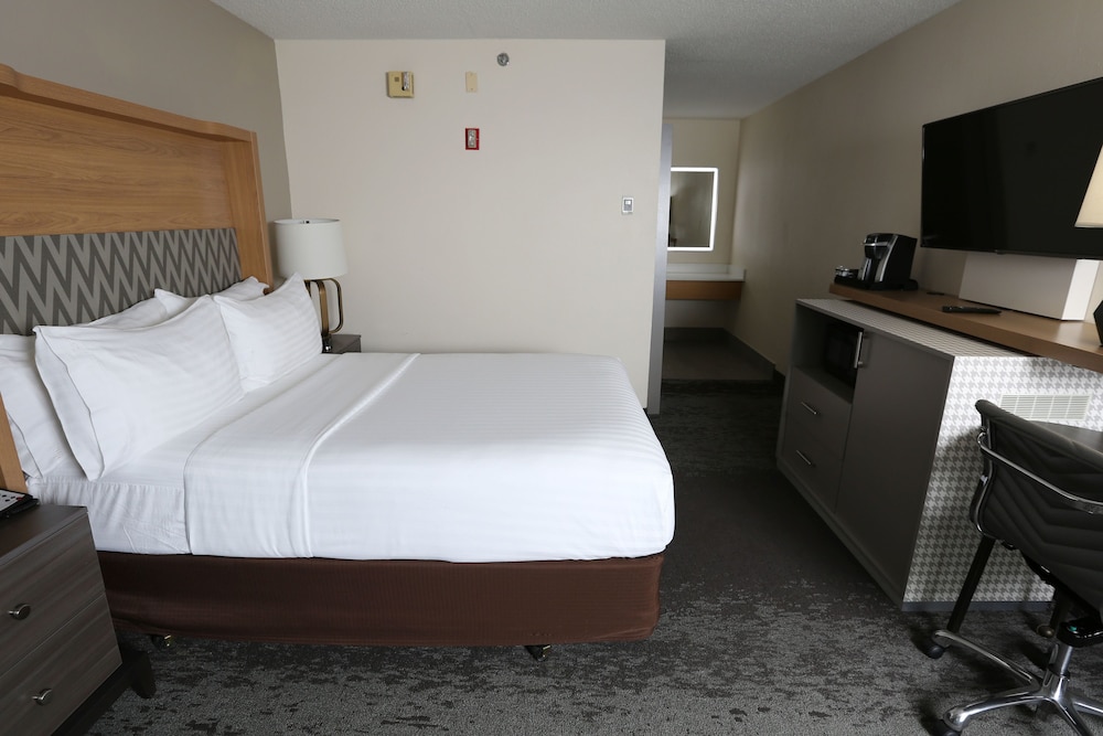 Standard Room, 1 Queen Bed, Accessible (Roll-In Shower) - Photo 7