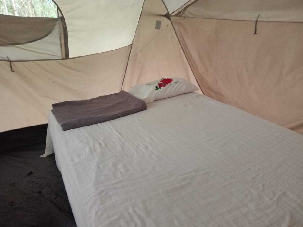 Tent, 2 Queen Beds photo 3