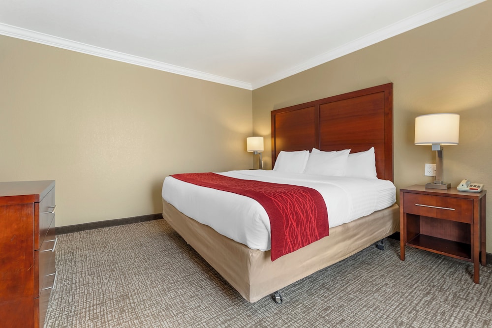 Room, 1 King Bed, Accessible, Non Smoking - Photo 4
