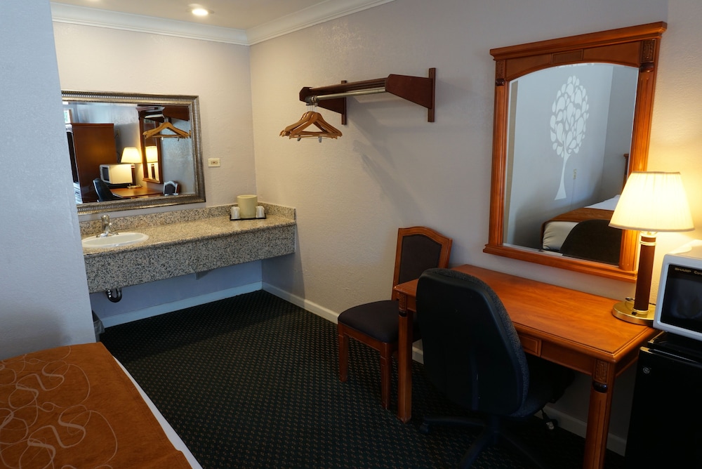 Premium Room, 1 King Bed, Smoking photo 3
