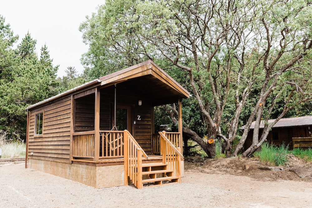 Deluxe Cabin photo 1