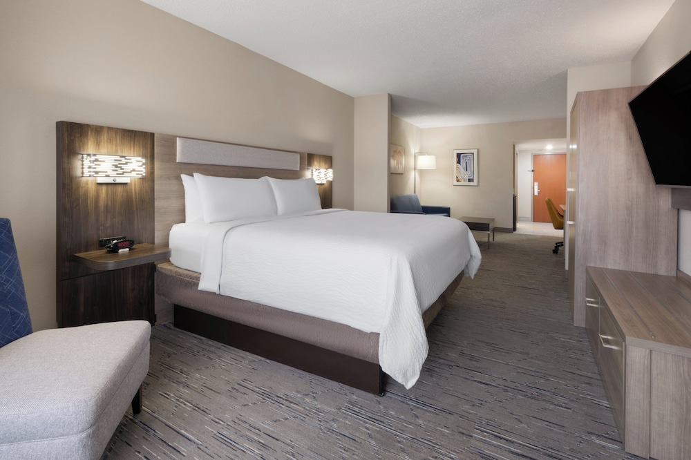 Suite, 1 King Bed photo 3