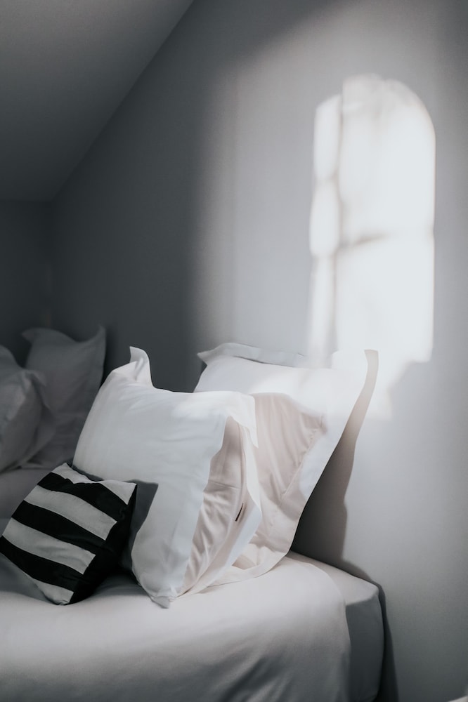 Exclusive Shared Dormitory photo 3